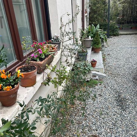 Loft Crimea Con Patio Apartment Торино Екстериор снимка